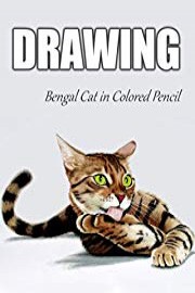 Time Lapse Drawing of a Bengal Cat
