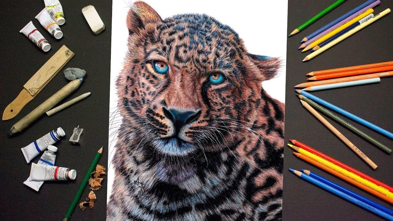 Time Lapse Drawing of a Leopard