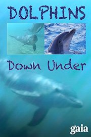 Dolphins Down Under