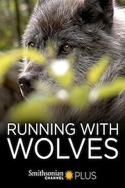 Running with Wolves