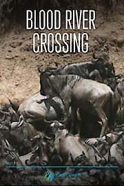 Blood River Crossing