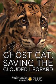 Ghost Cat: Saving the Clouded Leopard