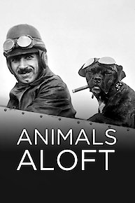 Animals Aloft