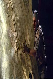 Richard Wagner - Bayreuth Festival - Wagner: Die Walküre