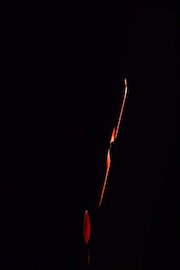 Train - Front Row Center