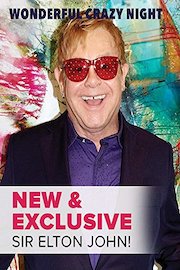 Elton John - Wonderful Crazy Night
