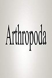 How To Pronounce Arthropoda
