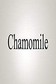 How To Pronounce Chamomile