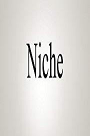 How To Pronounce Niche
