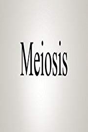 How To Pronounce Meiosis