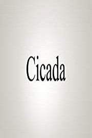 How To Pronounce Cicada