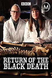 Return of the Black Death