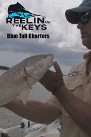 Reelin' In The Keys- Blue Tail Charters