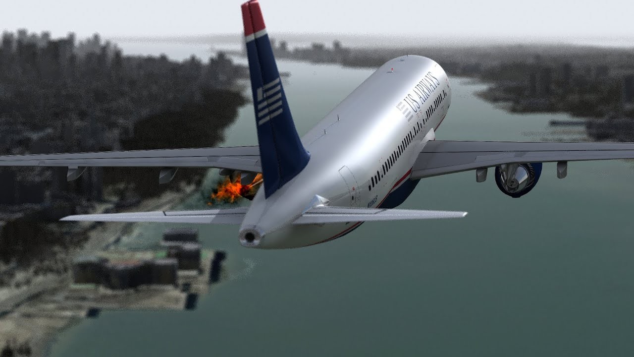 Bird vs. Plane: Miracle on the Hudson