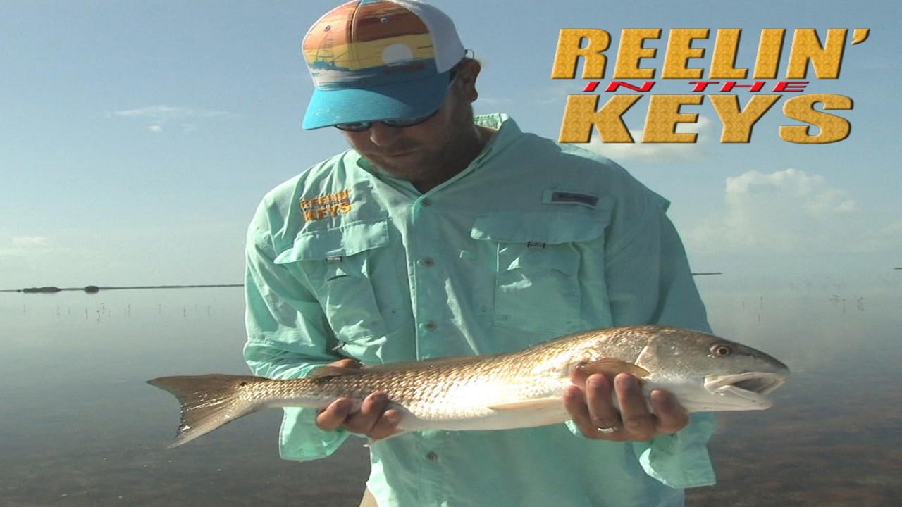 Reelin' In The Keys -Capt. Jason Bell