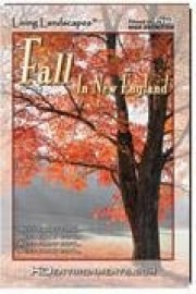Living Landscapes HD Fall in New England
