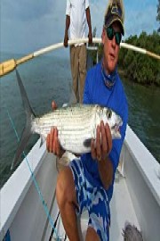 Addictive Fishing Television - Bits & Bites