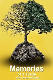 Memories of a Turtle