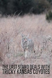 The Last Stand Season Deals With Tricky Kansas Coyotes