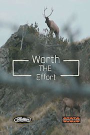 Worth The Effort