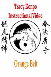 Tracy Kenpo Orange Belt