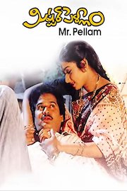 Mr.Pellam