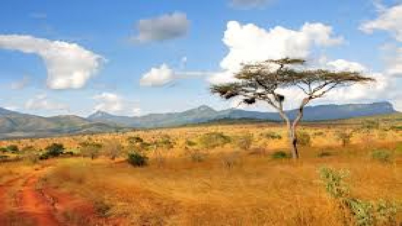 7 Days - KENYA