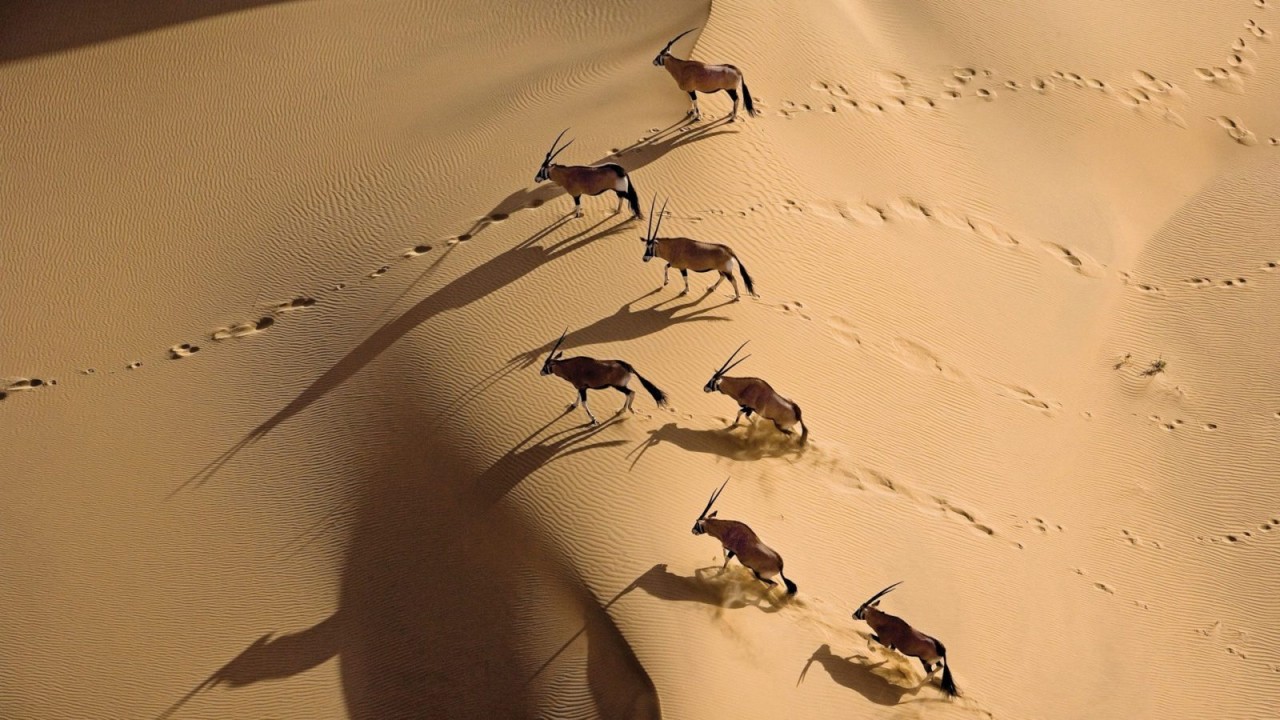 7 Days - NAMIBIA