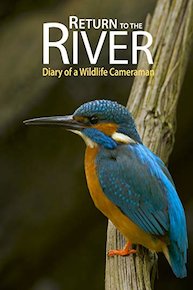 Return to the River - Diary of a Wildlife Cameraman
