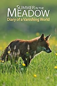 Summer in the Meadow - Diary of a Vanishing World