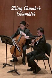 String Chamber Ensembles