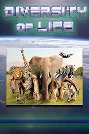 Diversity of Life