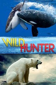 Wild Hunter