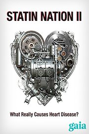 Statin Nation II: What Really Causes Heart Disease?