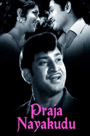 Praja Nayakudu