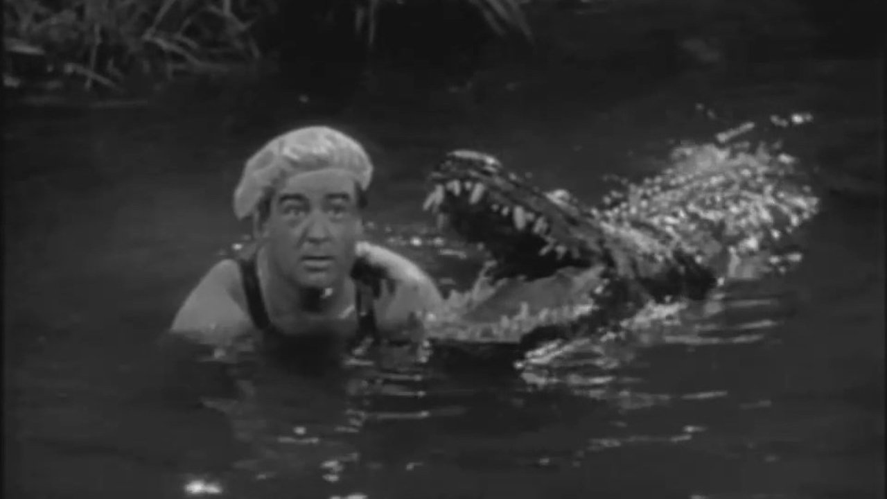 Africa Screams - 1949