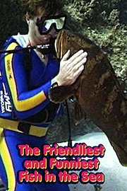 The Friendliest and Funniest Fish in the Sea