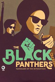 Black Panthers: Vanguard of the Revolution