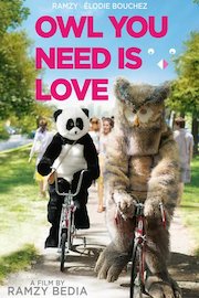 Owl You Need Is Love