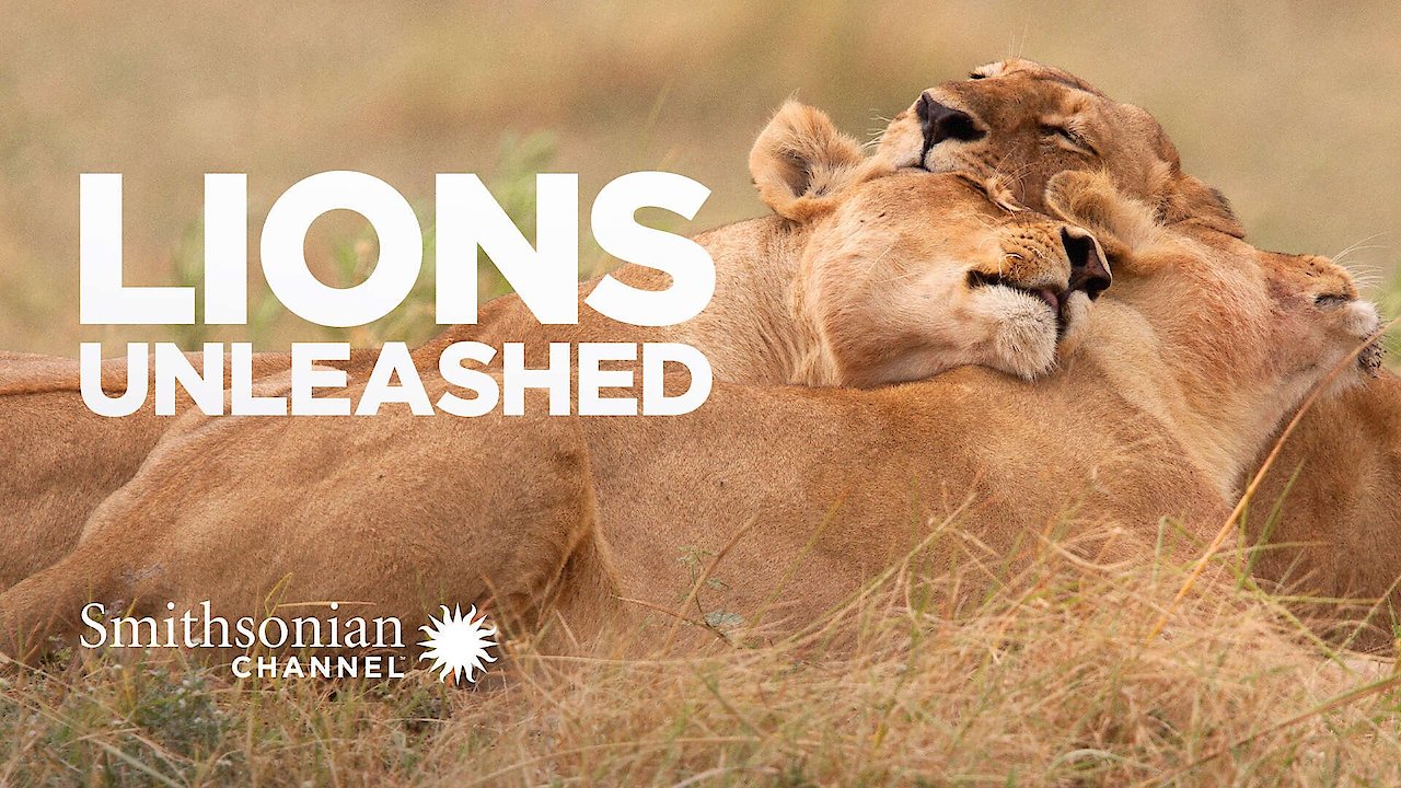 Lions Unleashed