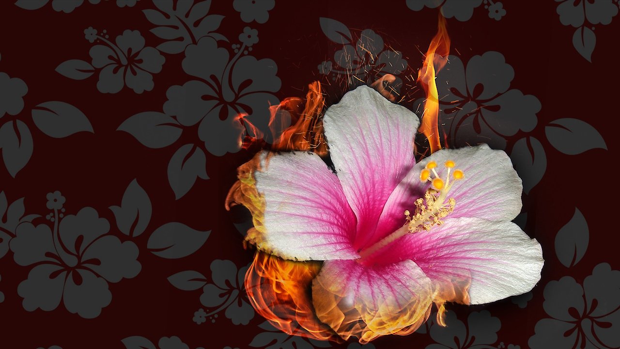 Bora Bora: Paddling Paradise