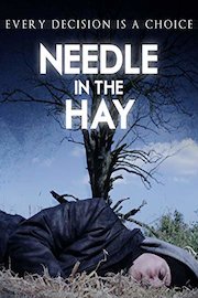 Needle in the Hay