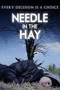 Needle in the Hay