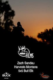 Zach Sandau Harvests Montana 5x5 Bull Elk