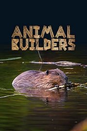 Animal Builders
