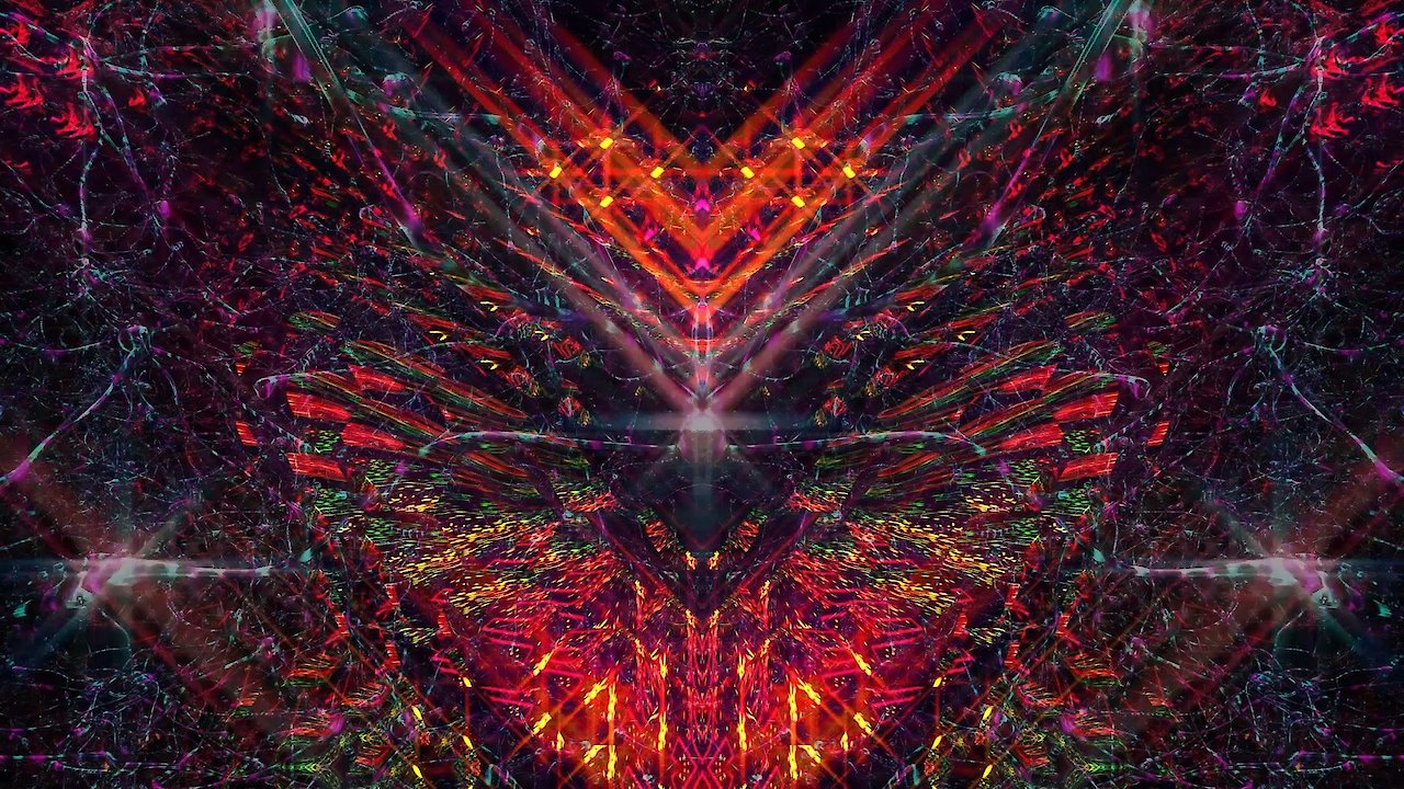 Bufo Alvarius - The Underground Secret