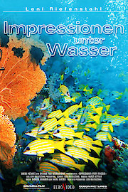 Impressionen unter Wasser