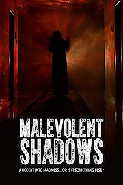 Malevolent Shadows