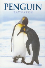 Penguin Baywatch: Antarctica