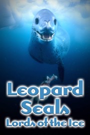 Leopard Seals: Lords of the Ice